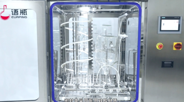 1763006495275462.jpg 10.jpg